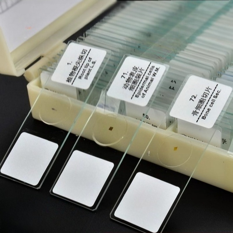 Glass Slides Prepared Microsco - Science Max 评论和价格