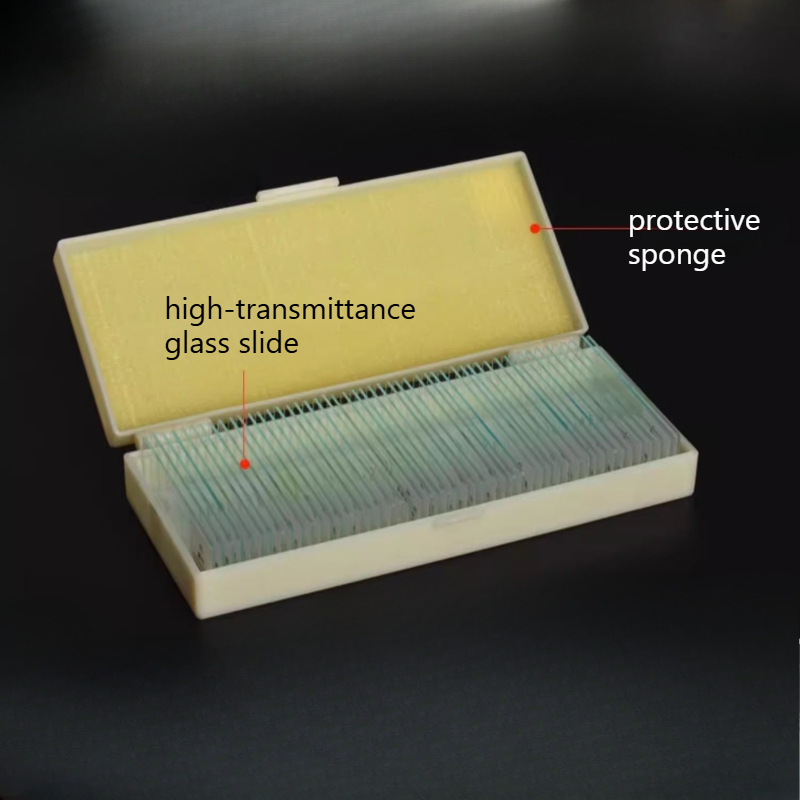 Glass Slides Prepared Microsco - Science Max 评论和价格