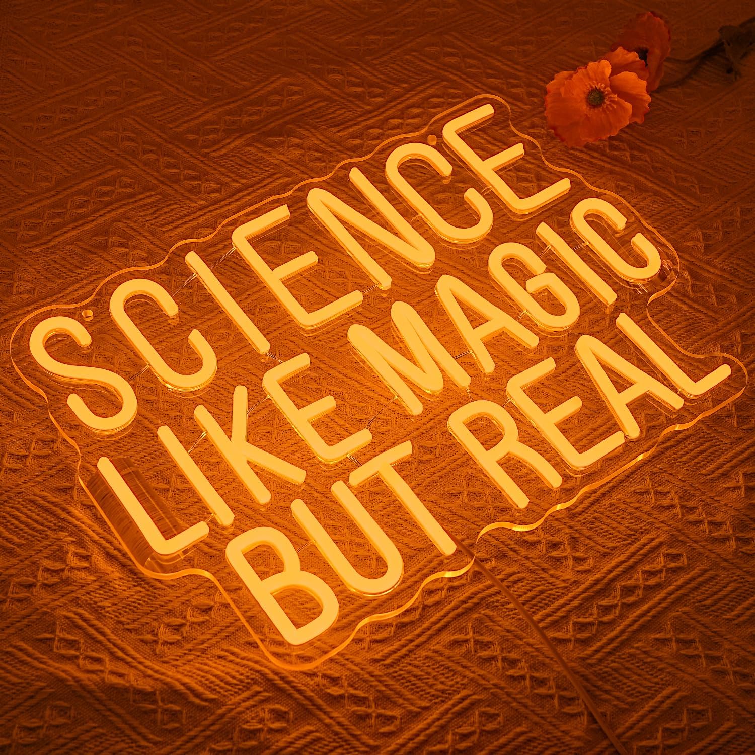 Science Like Magic But Real Ne - Science Hobbyist 评论和价格
