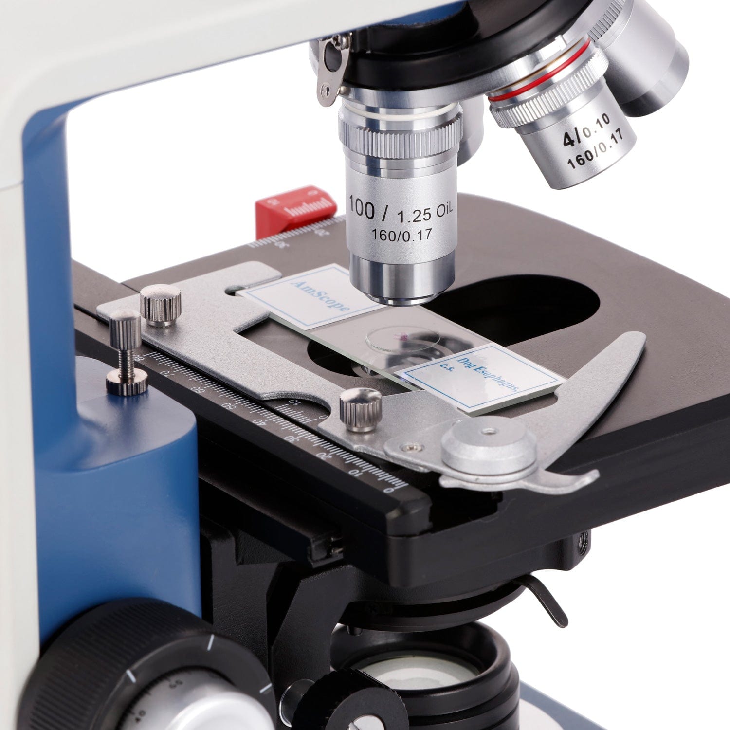 AmScope 40X-2500X Student Bino - Microscope Compound 40X 评论和价格