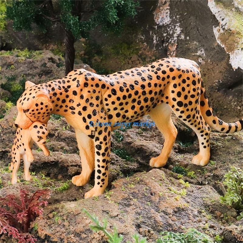 090B Realistic Cheetah Model f - Science Exhibition Models 评论和价格