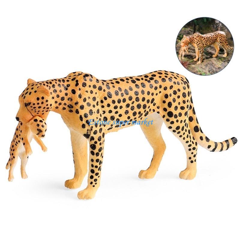 090B Realistic Cheetah Model f - Science Exhibition Models 评论和价格