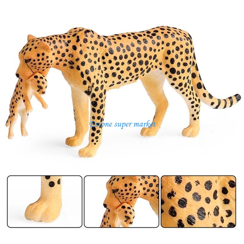 090B Realistic Cheetah Model f - Science Exhibition Models 评论和价格