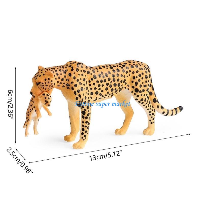 090B Realistic Cheetah Model f - Science Exhibition Models 评论和价格